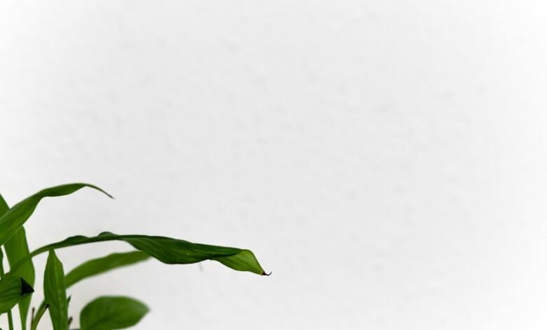 mobilecreativeorg blog s impact